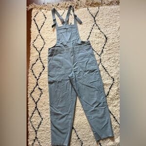 Aerie by American Eagle soft stretch corduroy light blue overalls size medium.